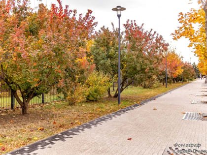 Погода в Таганроге 31 октября: день будет солнечным