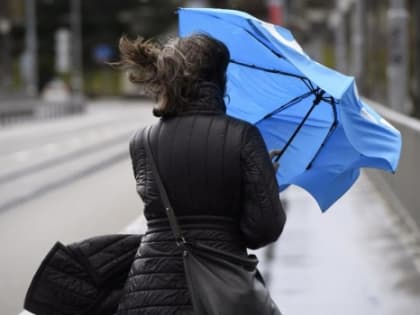 В Ростове-на-Дону ожидается усиление ветра 15 и 16 августа