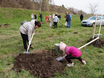 Больше тысячи растений высадят в Таганроге 21 октября