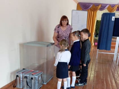 Тематическая игра «Мои первые выборы»