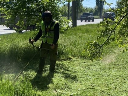 За неделю в Таганроге провели покос травы на 12 улицах