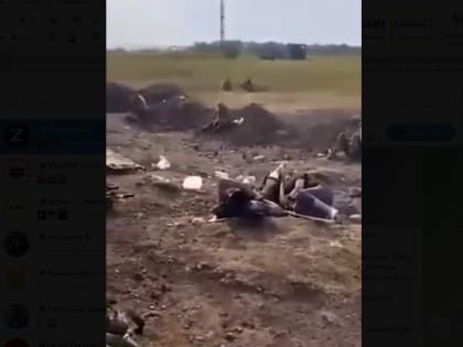 Как делаются фейки для остающейся неискушённой части россиян