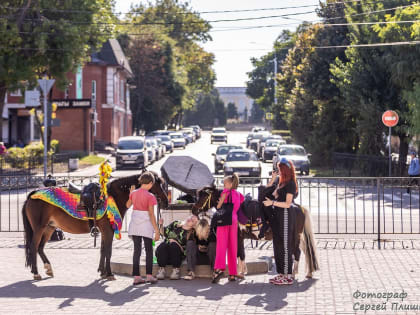 Погода в Таганроге 24 сентября: +28°, малооблачно, без осадков