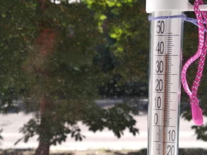 До +37 градусов усилится жара в Ростовской области 4 августа
