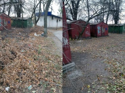 Уборка мусора в Таганроге: инициатива депутата