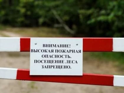 В Ростовской области продлили режим ограничения пребывания в лесах до 21 июля