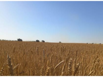 Уборочная кампания перешагнула «экватор»!