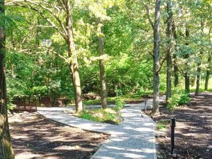 В таганрогской роще «Дубки» обновили шесть мостов