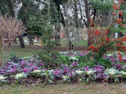 Погода в Таганроге 8 декабря: пасмурная пятница