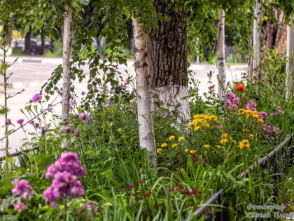 Погода в Таганроге 13 июня: дождь возможен ночью
