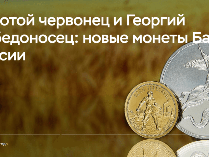 Содержание биотуалетов Ростовского кладбища обойдется в 700 тыс. рублей