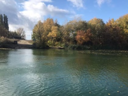 Таганрог и Ростов вошли в список городов с микробным загрязнением водоемов