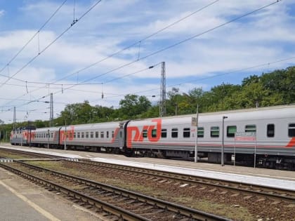 Пьяный дебошир задержан в поезде между Саратовом и Имеретинским Курортом