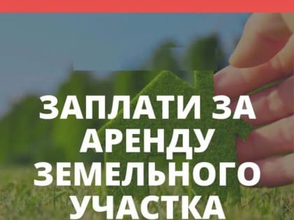 Жители Усть-Донецкого городского поселения смогут принять участие во Всероссийском голосовании за объекты благоустройства на 2025 год