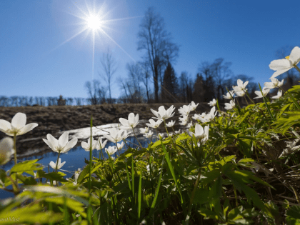 В последние дни февраля на Дону прогнозируют до +18 градусов