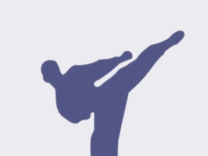 В Пензе стартуют финальные соревнования «ХІІ летней Спартакиады учащихся России» по каратэ.