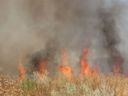 На Дону объявлено штормовое предупреждение из-за пожароопасности