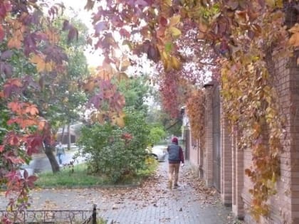 Погода в Таганроге 1 ноября: ночью обещают дождик