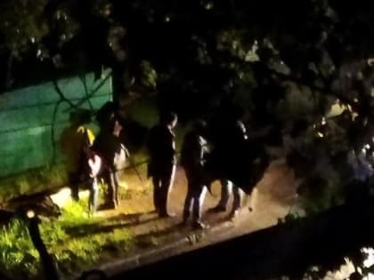 Подозреваемый признал вину в гибели ростовской старушки-учительницы