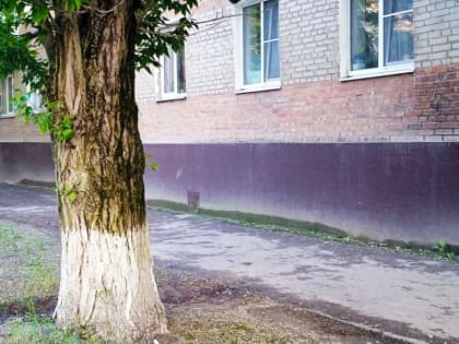 В Таганроге отремонтируют тротуары на 13 улицах