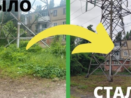 В Таганроге оштрафуют виновных в несвоевременном покосе травы