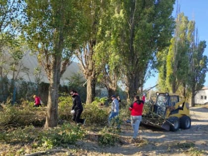 Чистота и порядок: осенний субботник в Таганроге