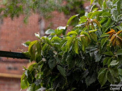 Погода в Таганроге 4 сентября: пасмурный понедельник