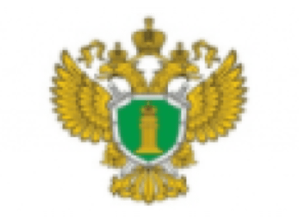 Прокуратура г. Донецка разъясняет  ЧТО ТАКОЕ СНЮСы?