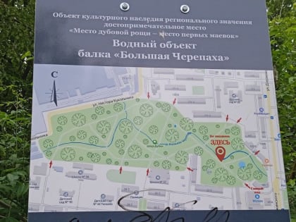 В Таганроге к сентябрю расчистят балку Большая Черепаха