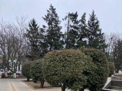 Пасмурная и снежная погода придет в Шахты в последние выходные января