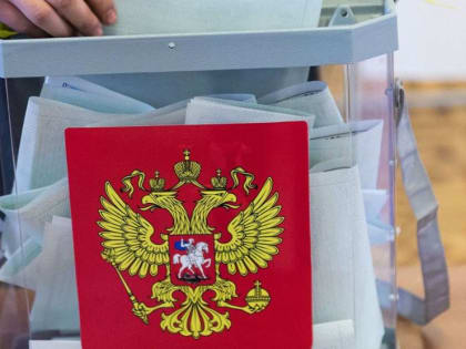 Выборы -2023: донской регион назвали электорально управляемым