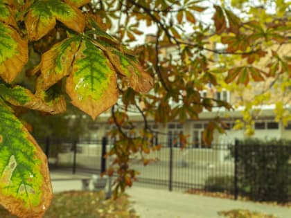 На следующей неделе в Целинском районе снова похолодает и будут идти дожди