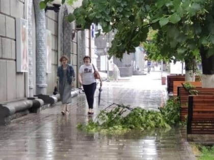 Власти Ростова ввели запрет на массовые мероприятия в непогоду