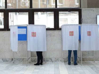 В Ростовской области явка выборов в ЗС составила более 29%