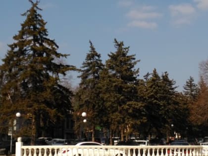 Первые весенние выходные в Шахтах будут ветреными и дождливыми