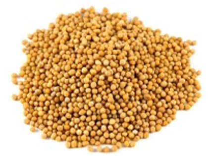 В Ростовской области в партии семян горчицы массой более 90 тонн обнаружены семена амброзии полыннолистной