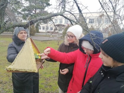 В школах района проходят акции «Новогодняя кормушка»