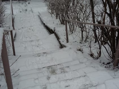 Ростовские дворники не послушались градоначальника