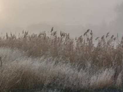 На новой рабочей неделе в Таганроге ожидаются заморозки до -2 градусов
