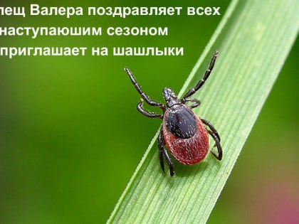 Раньше времени: клещи уже вышли на “тропу войны” в Ростовской области