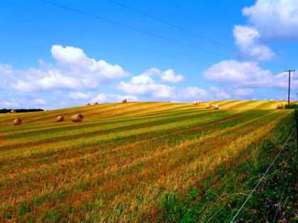 Агроэкологический мониторинг