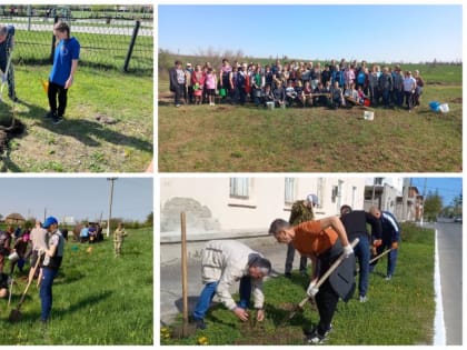 Проведен областной День древонасаждения