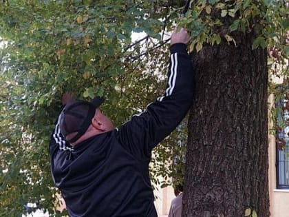 21 октября на территории Усть-Донецкого городского поселения прошли сразу два мероприятия: День древонасаждения и областной субботник.