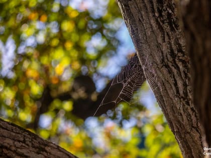 Погода в Таганроге 8 сентября: солнечный осенний день