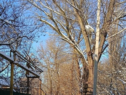 В Миллерово тихий переулок облюбовали наркоманы