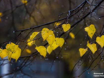 Погода в Таганроге 8 октября: дождь и сильный ветер