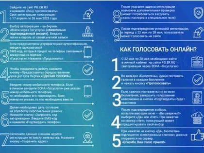 На сайте pg.er.ru началось предварительное голосование «Единой России».