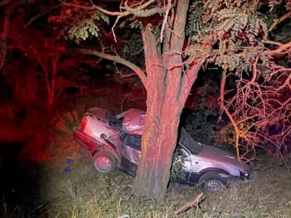 Врезался в дерево: в Ростовской области в ДТП погиб несовершеннолетний