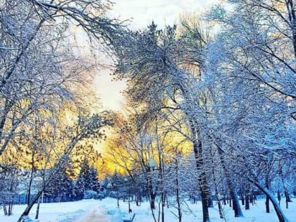 Мороз и солнце ждут шахтинцев