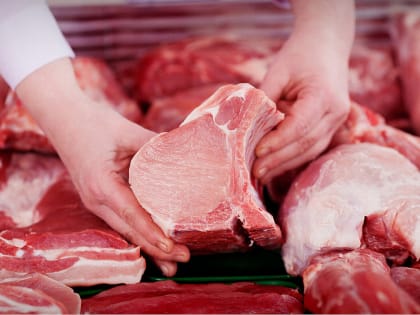 Едем на шашлыки: как правильно выбрать мясо